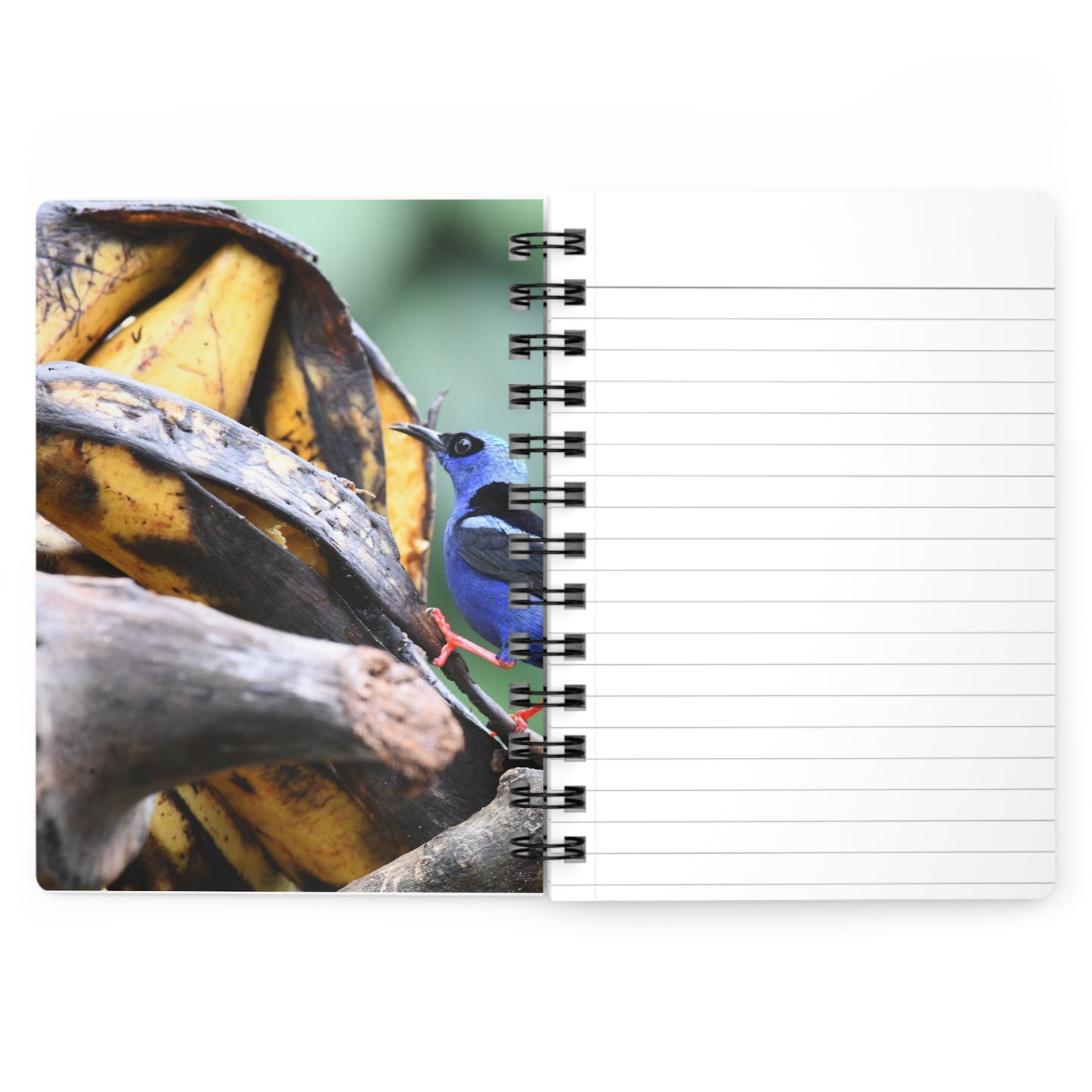 Nature-Inspired Spiral Bound Journal with Bird Design, Writing Notebook, Gift for Writers, Eco-Friendly Journal, Personalized Stationery