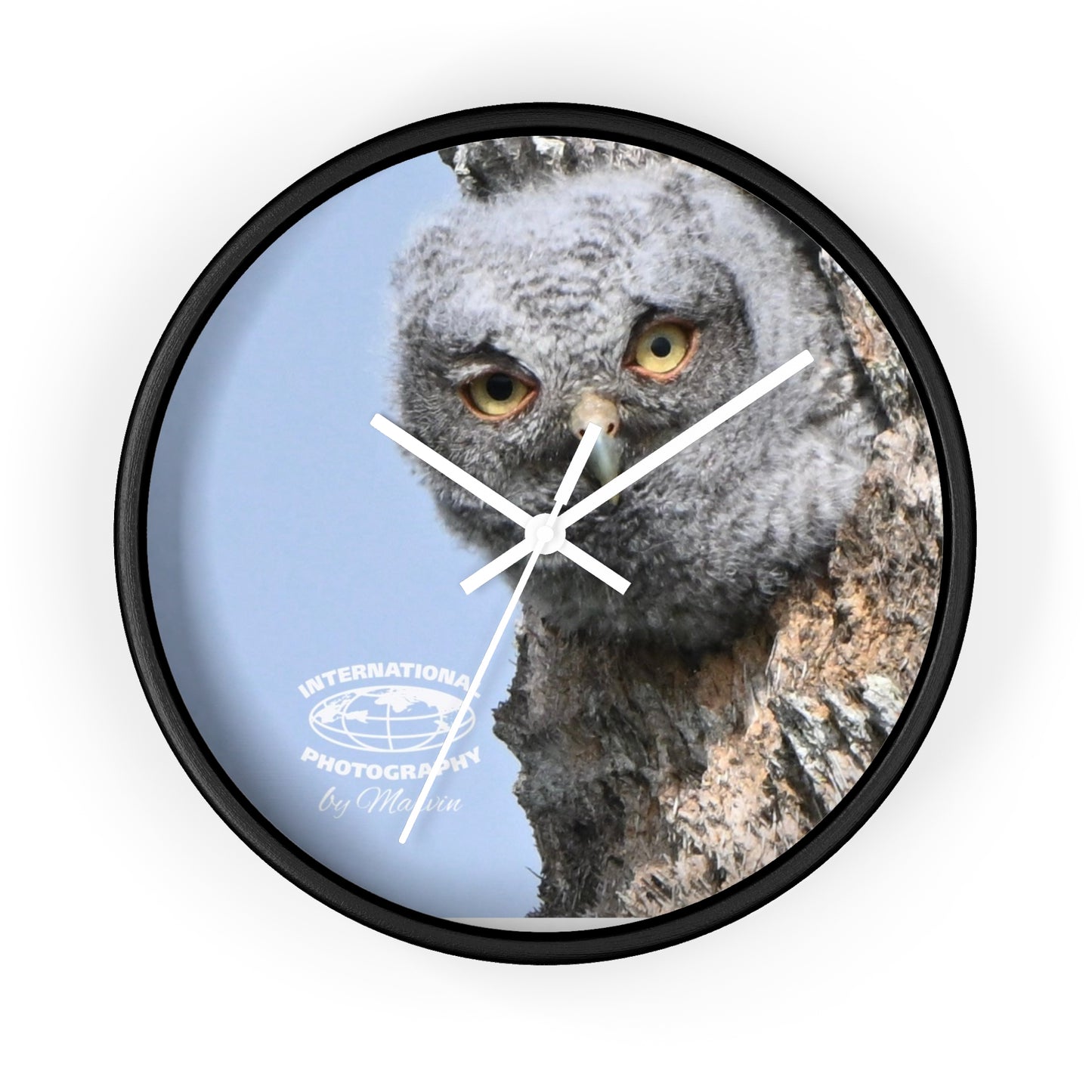 Whimsical Owl Wall Clock - Nature Lover Decor, Unique Home Gift, Bird Watcher Accessory, Kids Room Clock, Owl Enthusiast Present