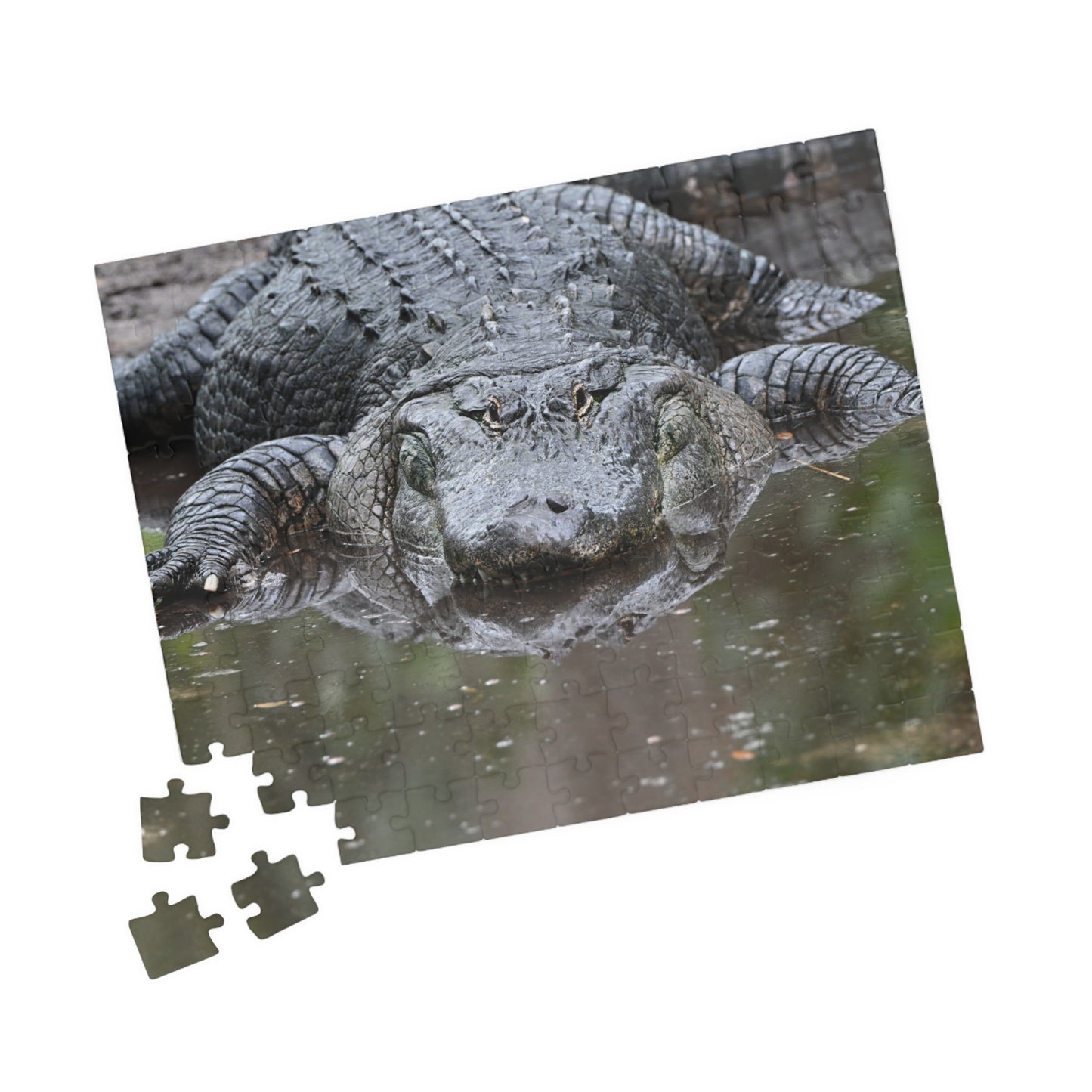 Alligator Puzzle - 110, 252, 520, 1014-Piece Jigsaw, Animal Lovers Gift, Family Game Night, Nature Decor, Unique Home Activity
