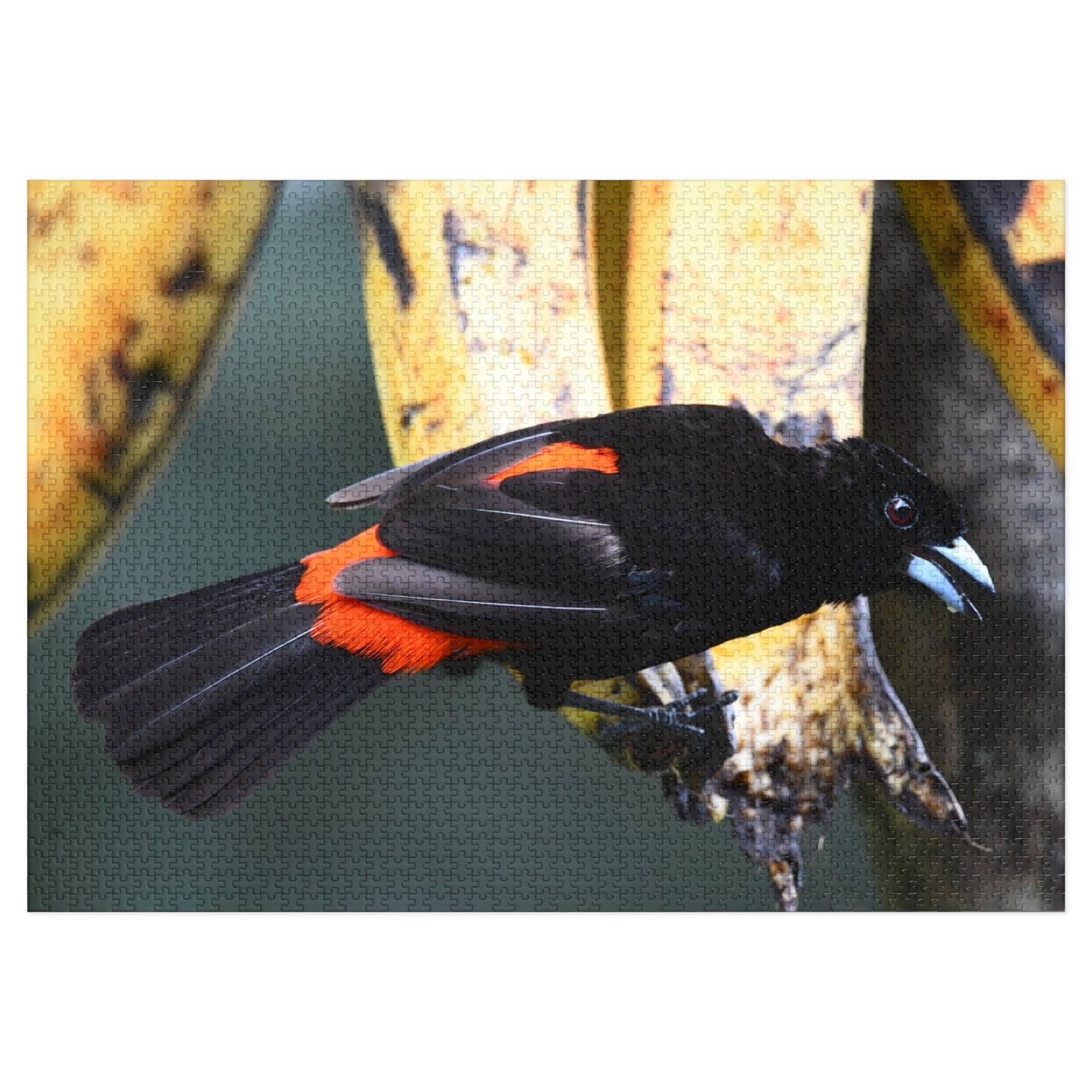 Bird-Themed Jigsaw Puzzle with Tin - Perfect Gift for Nature Lovers, Family Game Night, Eco-Friendly Home Decor, Educational Activity.