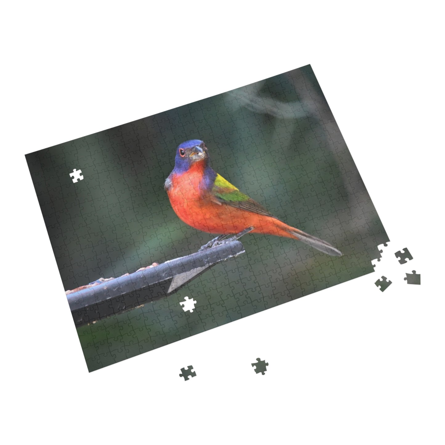 Vibrant Bird Puzzle - 96, 252, 500, or 1000 Pieces | Nature Jigsaw for Bird Lovers, Family Game Night, Educational Fun, Gift Idea