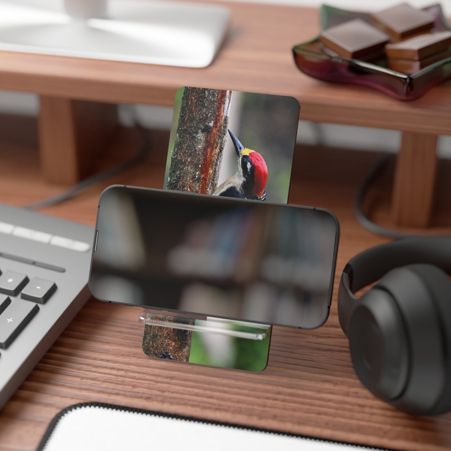 Woodpecker Phone Stand — Clear Acrylic Smartphone Display Stand with Forest Bird Photo