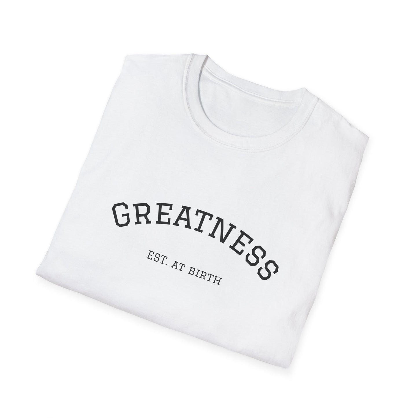 Wholeness Tee — 'WHOLENESS EST 1995' Minimal Comfort Shirt