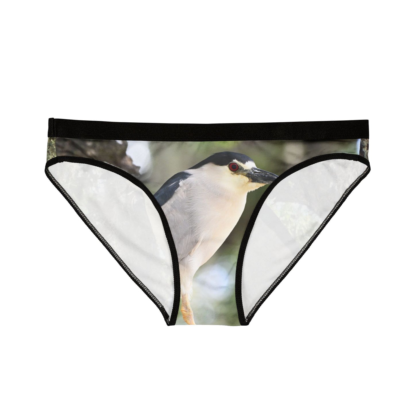 Botanical Bird Print Women's Underwear, Unique Lingerie Gift, AOP Panties, Eco-Friendly Intimates, Nature Lover's Underwear