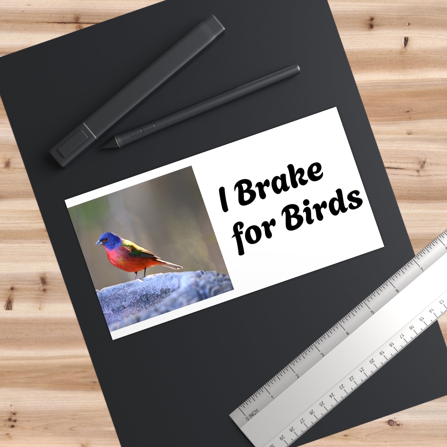 Bird Lover Bumper Stickers, Car Decal, Nature Lover Gift, Wildlife Sticker, Eco-Friendly Car Art, I Brake for Birds
