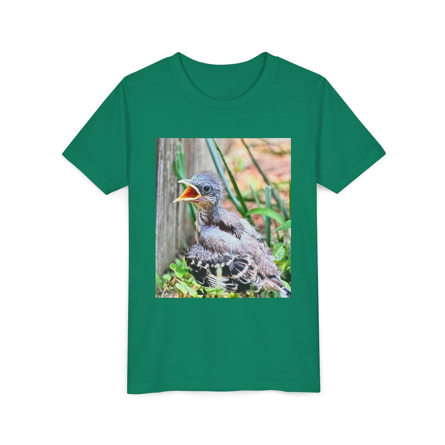 Youth Bird Graphic Tee - Cute Baby Bird T-Shirt, Nature Lovers Gift, Kids Apparel, Animal Tee, Spring Fashion, Eco-Friendly