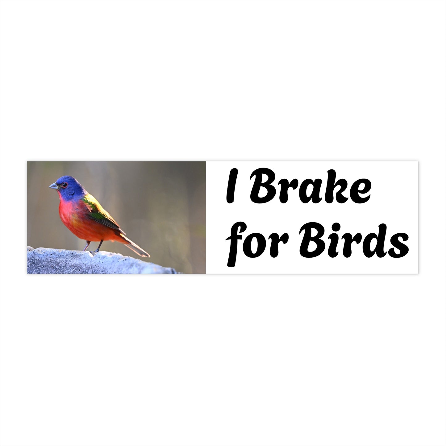 Bird Lover Bumper Stickers, Car Decal, Nature Lover Gift, Wildlife Sticker, Eco-Friendly Car Art, I Brake for Birds