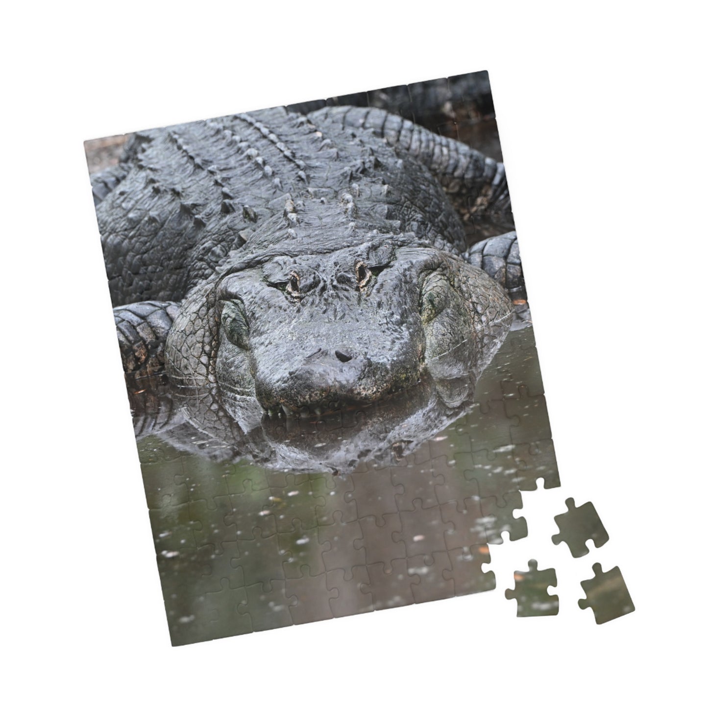 Alligator Puzzle - 110, 252, 520, 1014-Piece Jigsaw, Animal Lovers Gift, Family Game Night, Nature Decor, Unique Home Activity