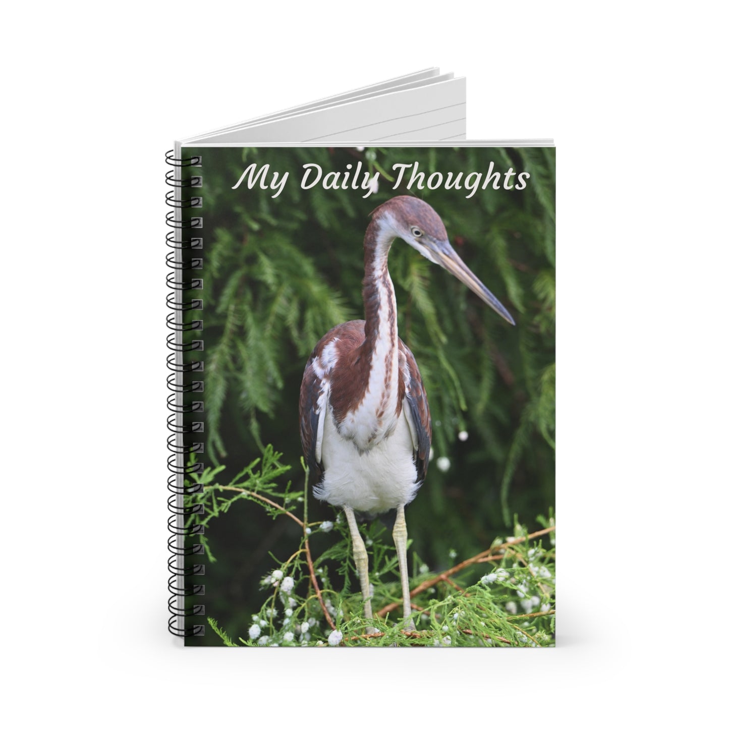 Nature-Inspired Spiral Notebook for Daily Thoughts - Perfect Gift for Bird Lovers, Journaling, Note-Taking, and Inspiration