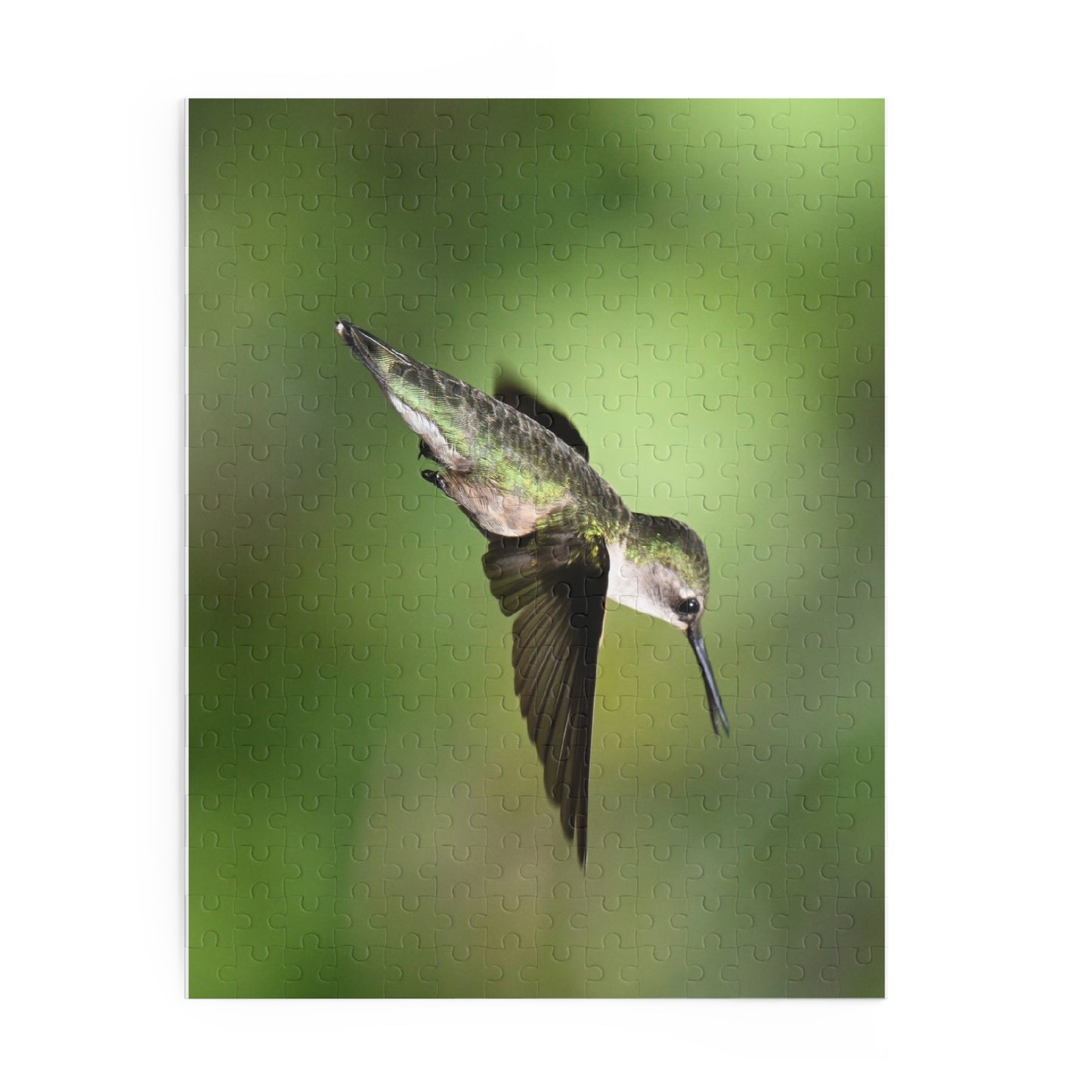 Hummingbird Puzzle - Nature Lover Gift, Bird Watching Decor, Jigsaw Fun for Family, Relaxing Game, Perfect for all Ages