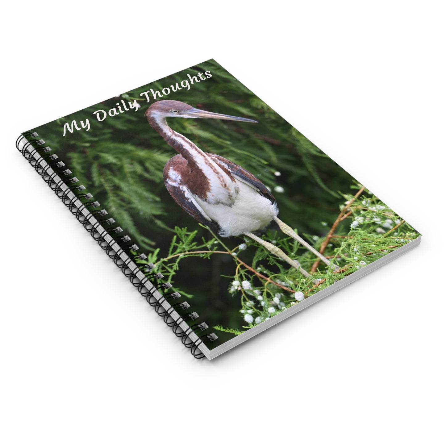 Nature-Inspired Spiral Notebook for Daily Thoughts - Perfect Gift for Bird Lovers, Journaling, Note-Taking, and Inspiration