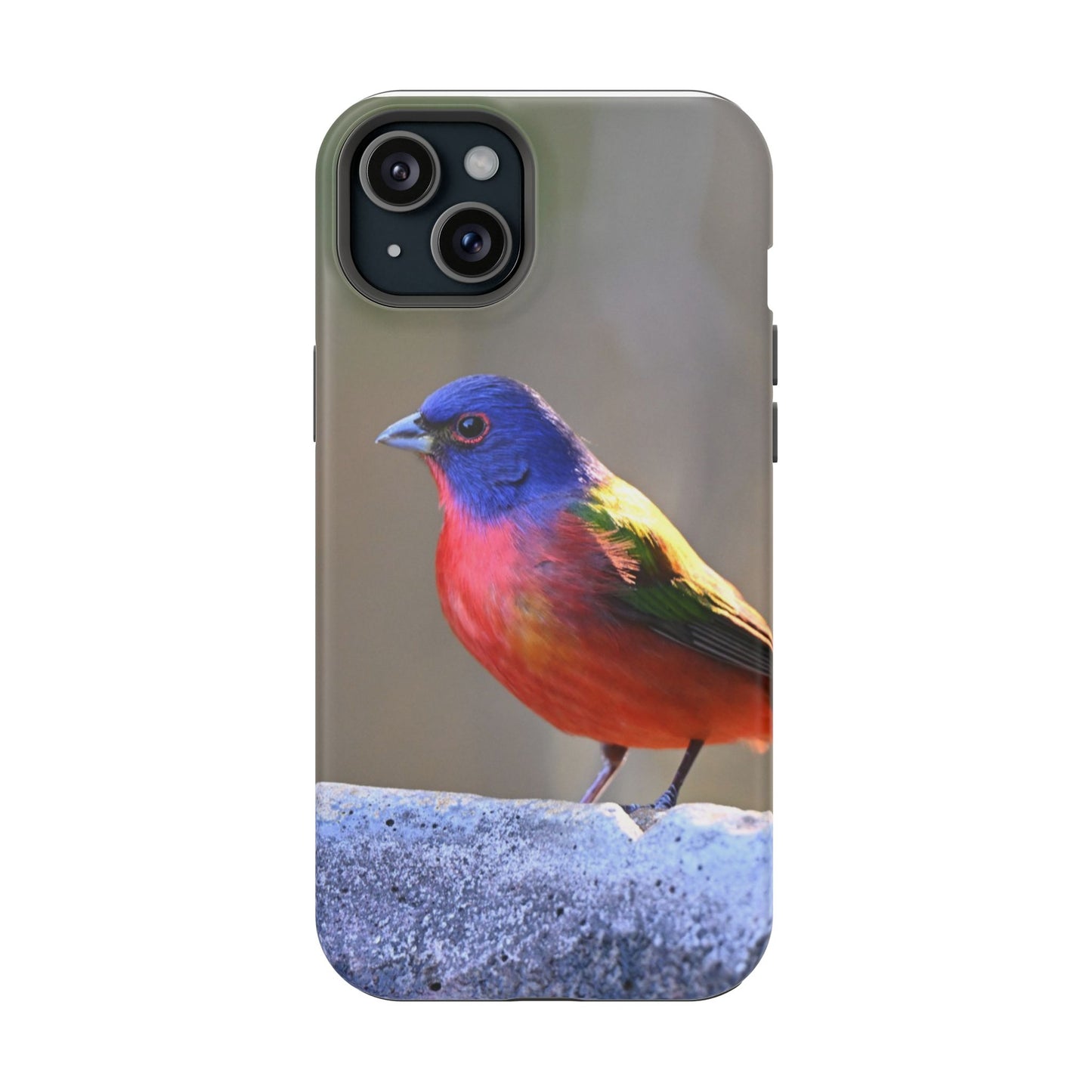 Colorful Bird Phone Case, Magnetic Tough Cases, Nature Lover Gift, Wildlife Phone Cover, Eco-Friendly Tech Accessories