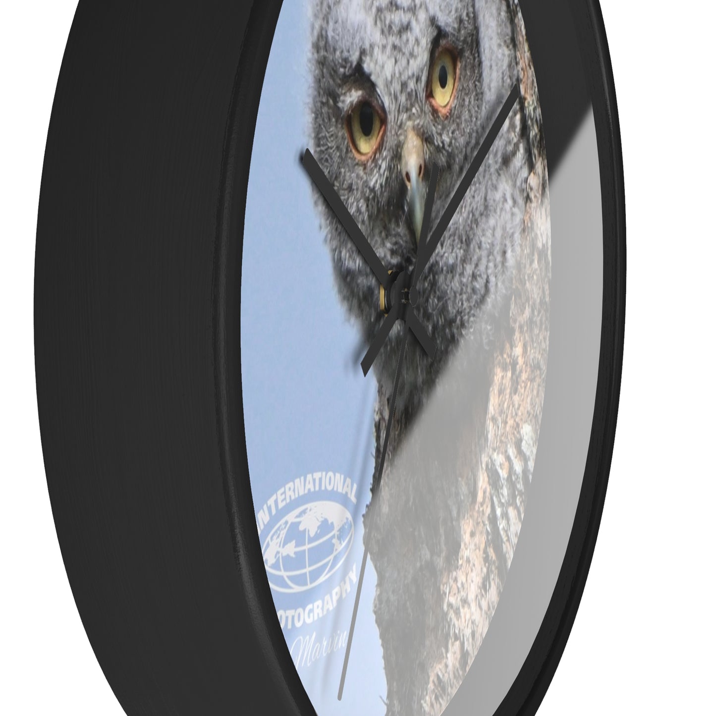 Whimsical Owl Wall Clock - Nature Lover Decor, Unique Home Gift, Bird Watcher Accessory, Kids Room Clock, Owl Enthusiast Present