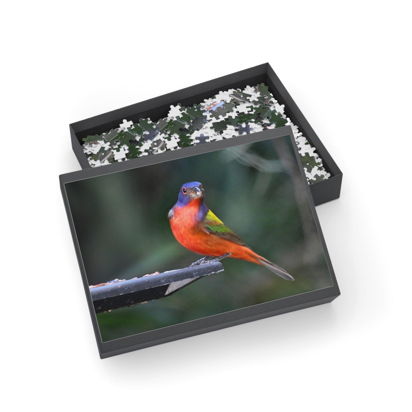 Vibrant Bird Puzzle - 96, 252, 500, or 1000 Pieces | Nature Jigsaw for Bird Lovers, Family Game Night, Educational Fun, Gift Idea