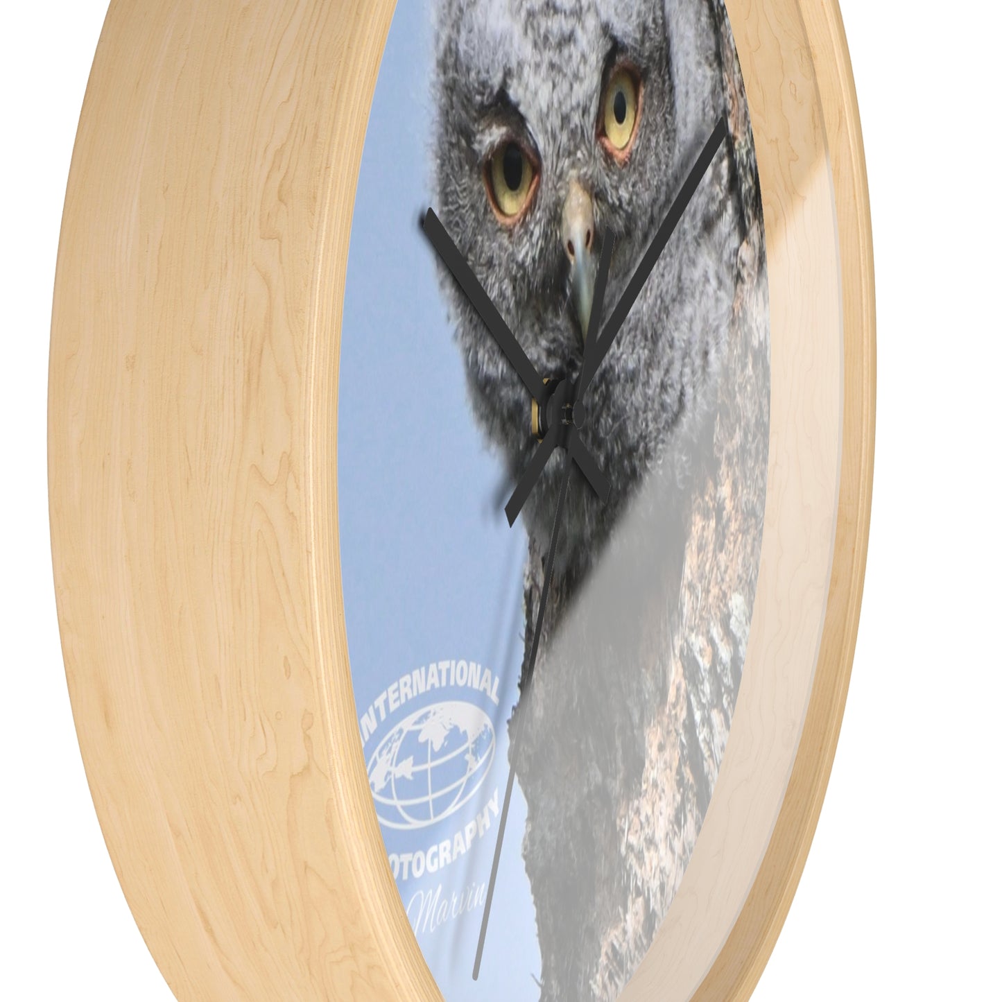 Whimsical Owl Wall Clock - Nature Lover Decor, Unique Home Gift, Bird Watcher Accessory, Kids Room Clock, Owl Enthusiast Present