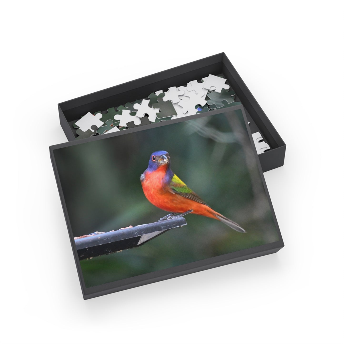 Vibrant Bird Puzzle - 96, 252, 500, or 1000 Pieces | Nature Jigsaw for Bird Lovers, Family Game Night, Educational Fun, Gift Idea