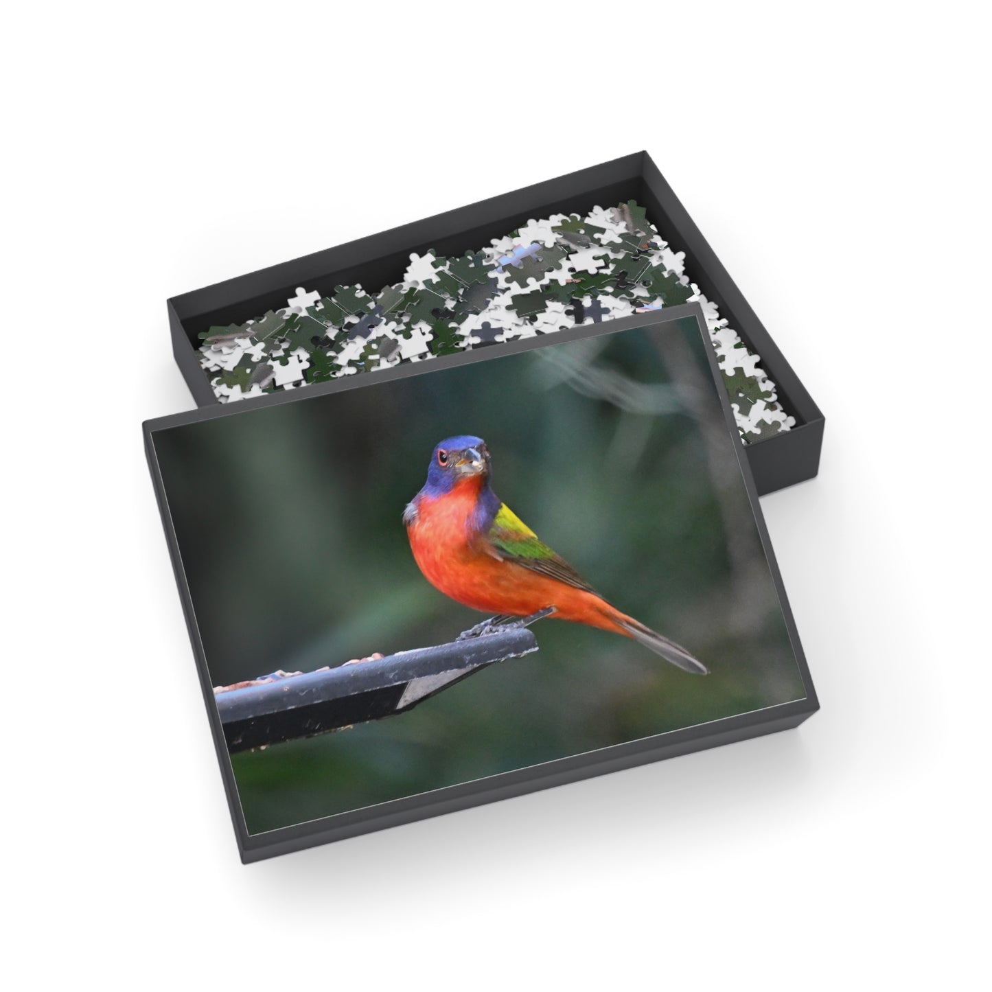 Vibrant Bird Puzzle - 96, 252, 500, or 1000 Pieces | Nature Jigsaw for Bird Lovers, Family Game Night, Educational Fun, Gift Idea
