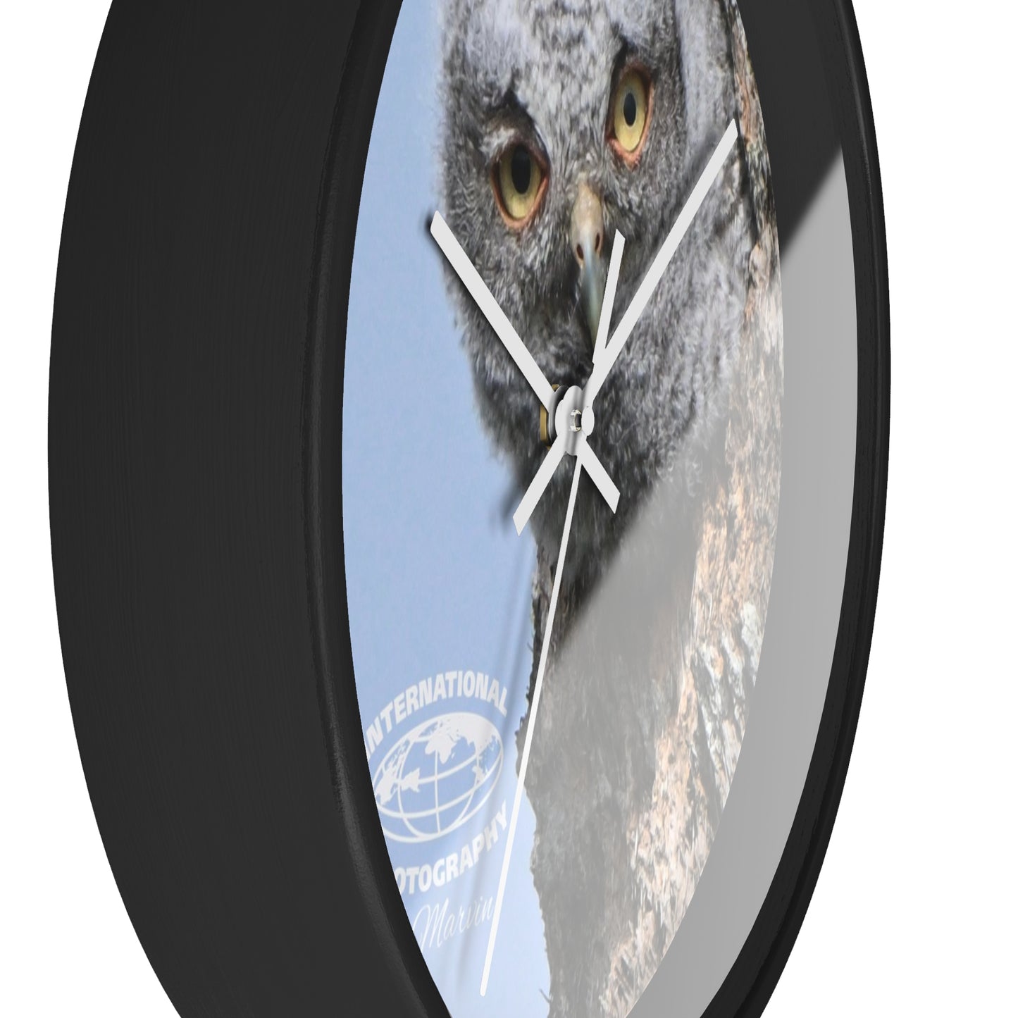 Whimsical Owl Wall Clock - Nature Lover Decor, Unique Home Gift, Bird Watcher Accessory, Kids Room Clock, Owl Enthusiast Present