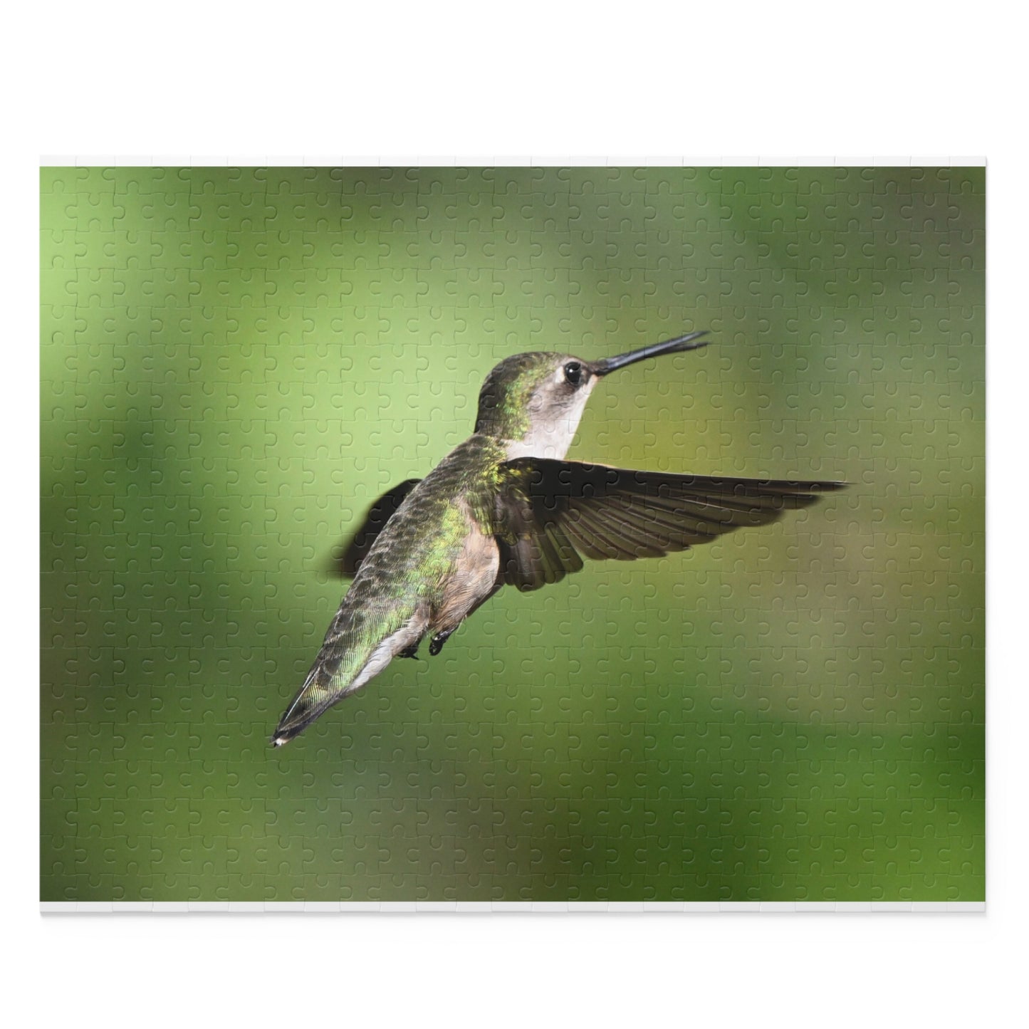 Hummingbird Puzzle - Nature Lover Gift, Bird Watching Decor, Jigsaw Fun for Family, Relaxing Game, Perfect for all Ages