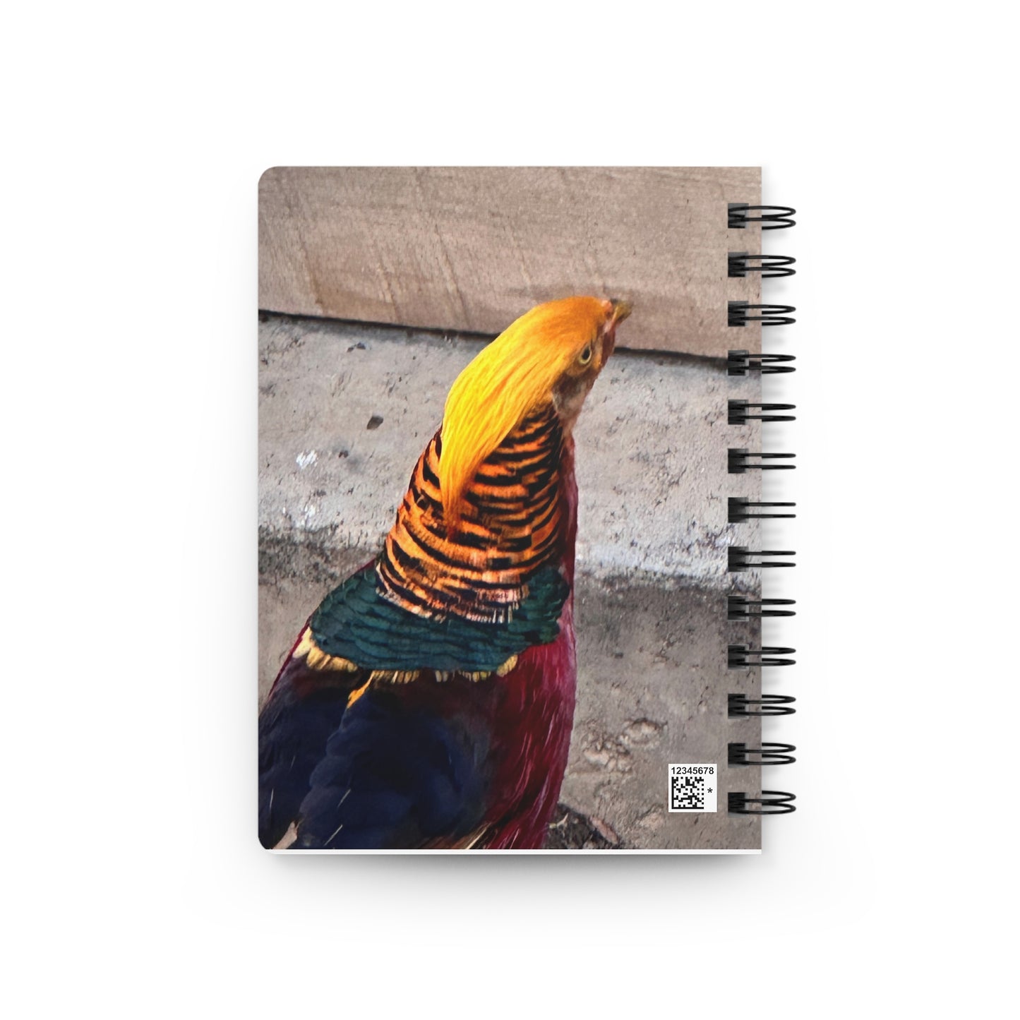 Colorful Bird Spiral Journal for Daily Thoughts, Writing, Doodles, Gifts for Nature Lovers, Creative Mind