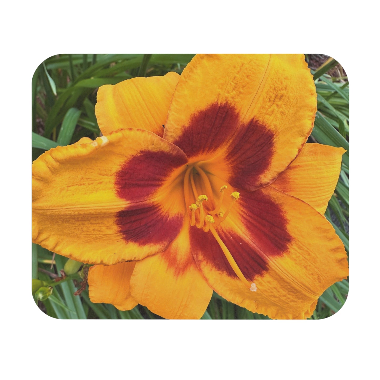 Vibrant Floral Mouse Pad, Computer Accessories, Office Decor, Gift for Flower Lovers, Custom Mouse Mat