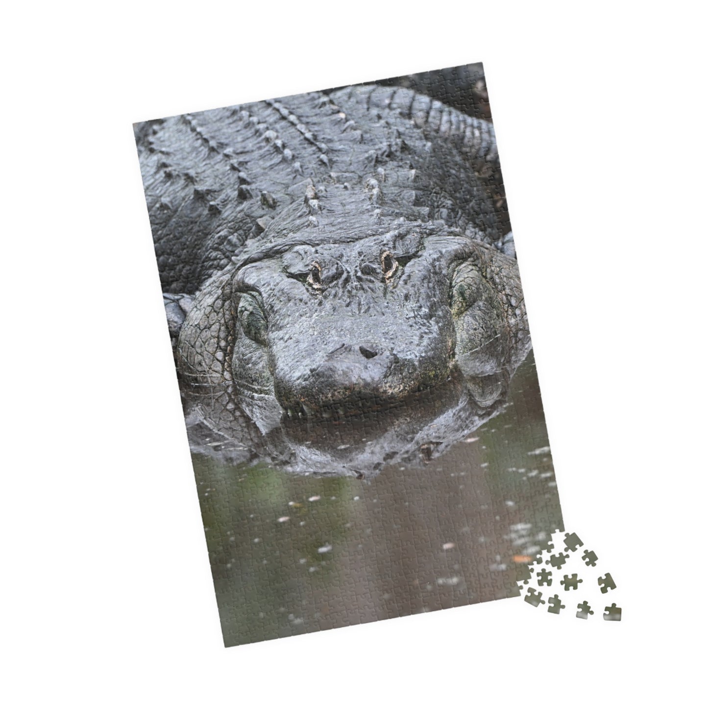 Alligator Puzzle - 110, 252, 520, 1014-Piece Jigsaw, Animal Lovers Gift, Family Game Night, Nature Decor, Unique Home Activity