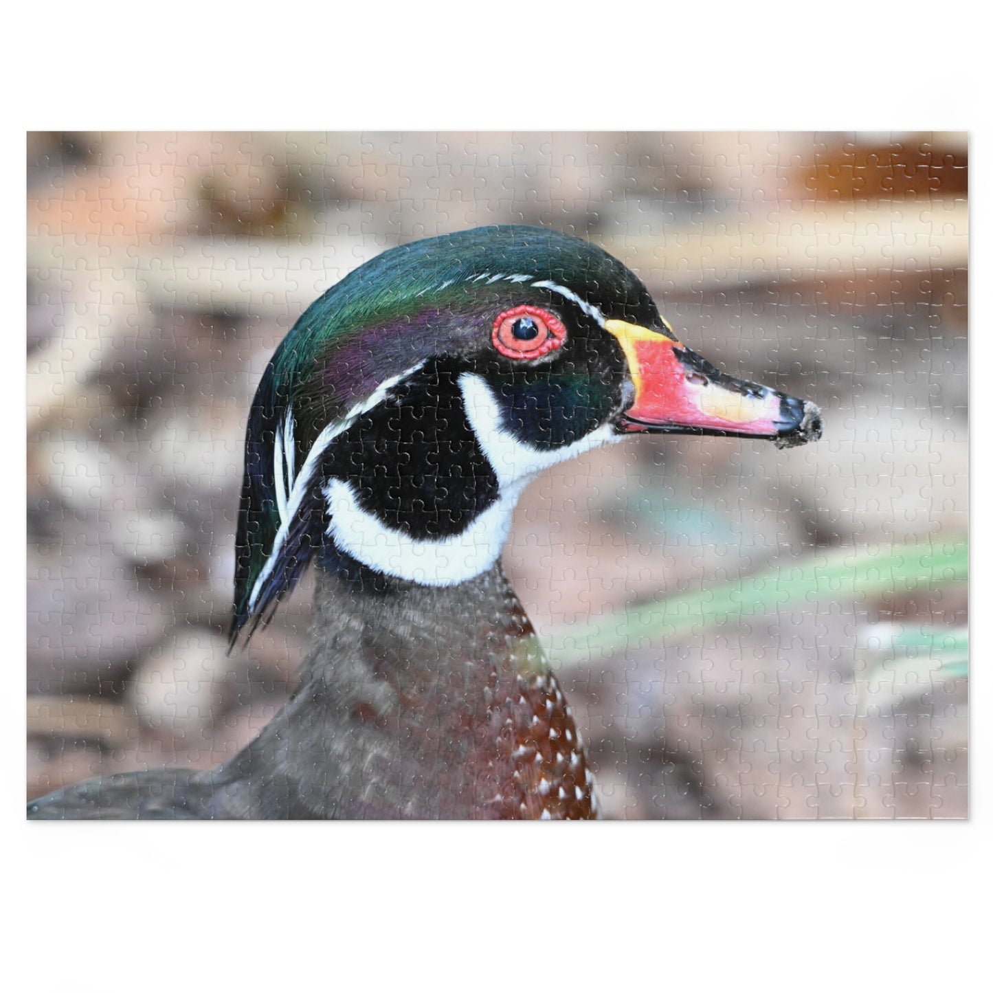 Wood Duck Puzzle, Relaxing Jigsaw Game, Unique Gift for Nature Lovers, Fun Family Activity, Bird Enthusiast Puzzle