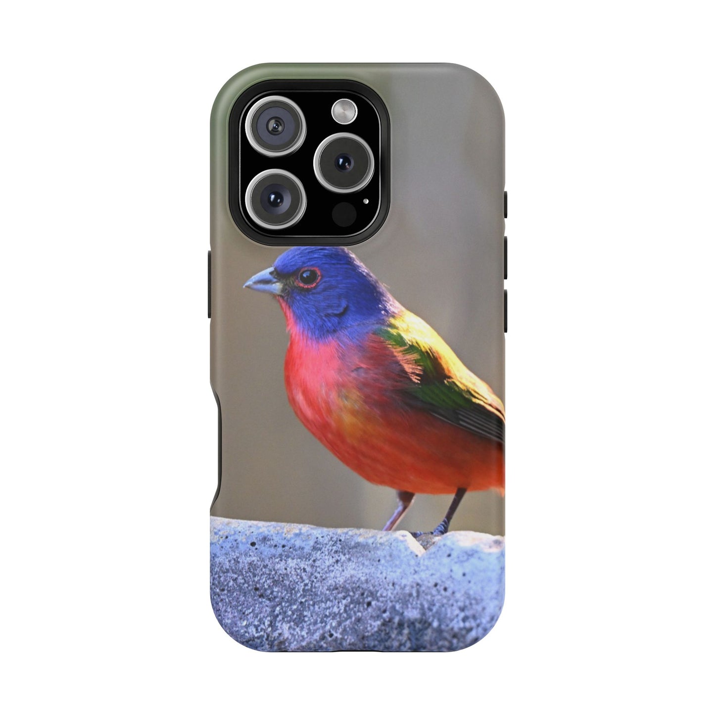 Colorful Bird Phone Case, Magnetic Tough Cases, Nature Lover Gift, Wildlife Phone Cover, Eco-Friendly Tech Accessories
