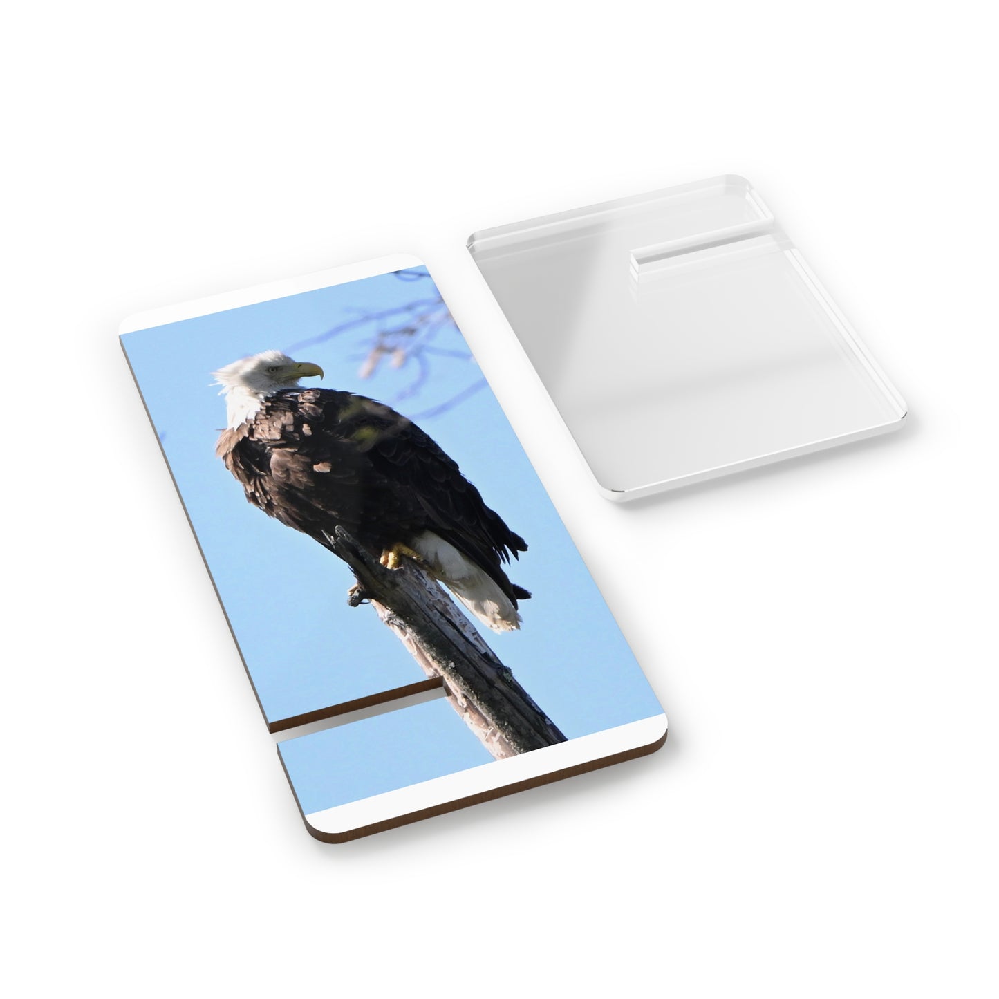 Eagle Mobile Display Stand - Phone Holder, Desk Organizer, Gift for Bird Lovers, Nature Decor, Smartphone Stand