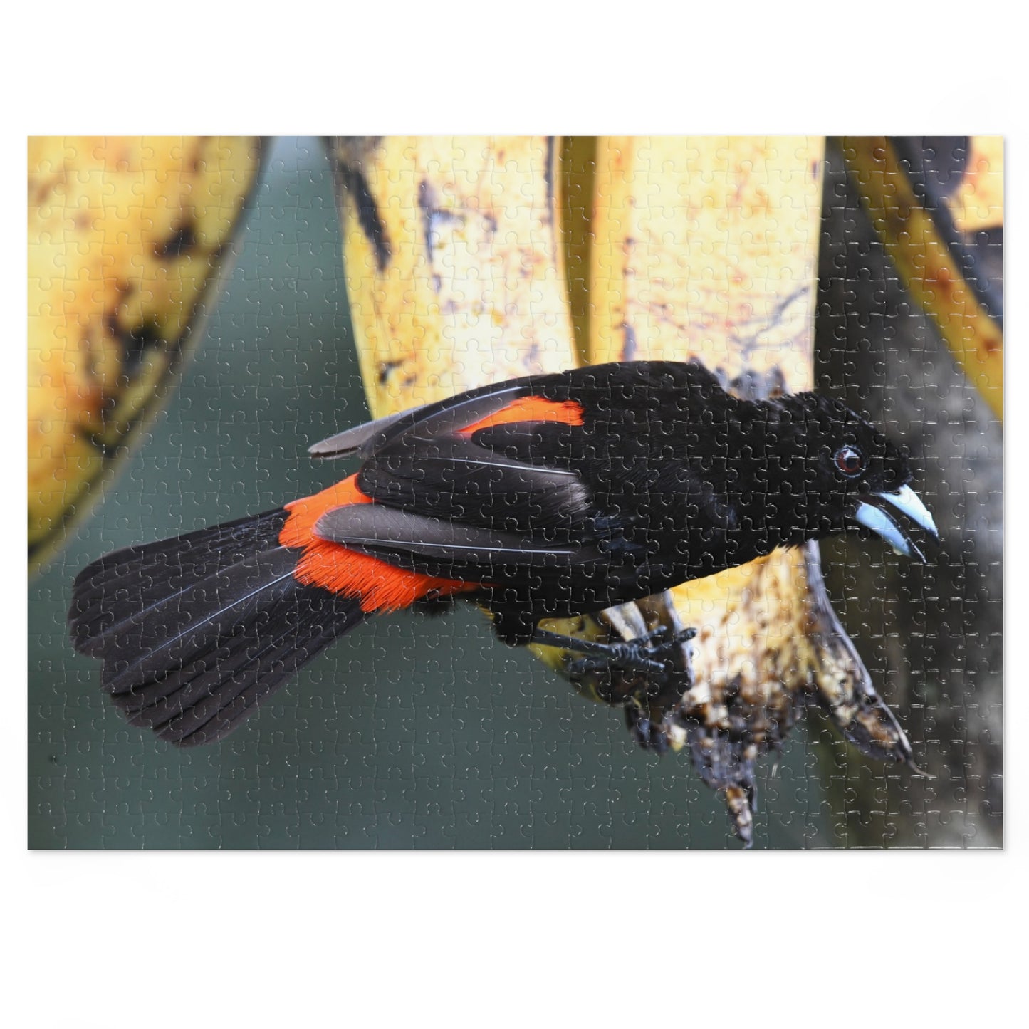 Bird-Themed Jigsaw Puzzle with Tin - Perfect Gift for Nature Lovers, Family Game Night, Eco-Friendly Home Decor, Educational Activity.