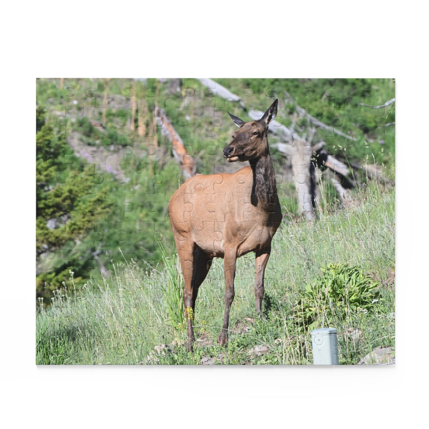 Elk Puzzle Game, Nature-Based Fun, Wildlife Lover Gift, Family Game Night, Educational Activity, Relaxing Hobby