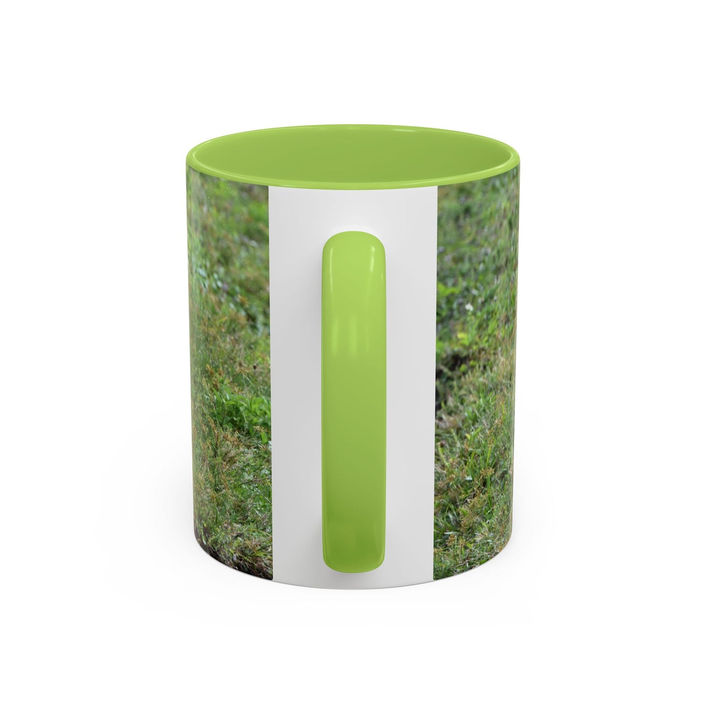 Where's My Coffee? Accent Coffee Mug – Funny Crow Bird Coffee Cup (11/15oz)