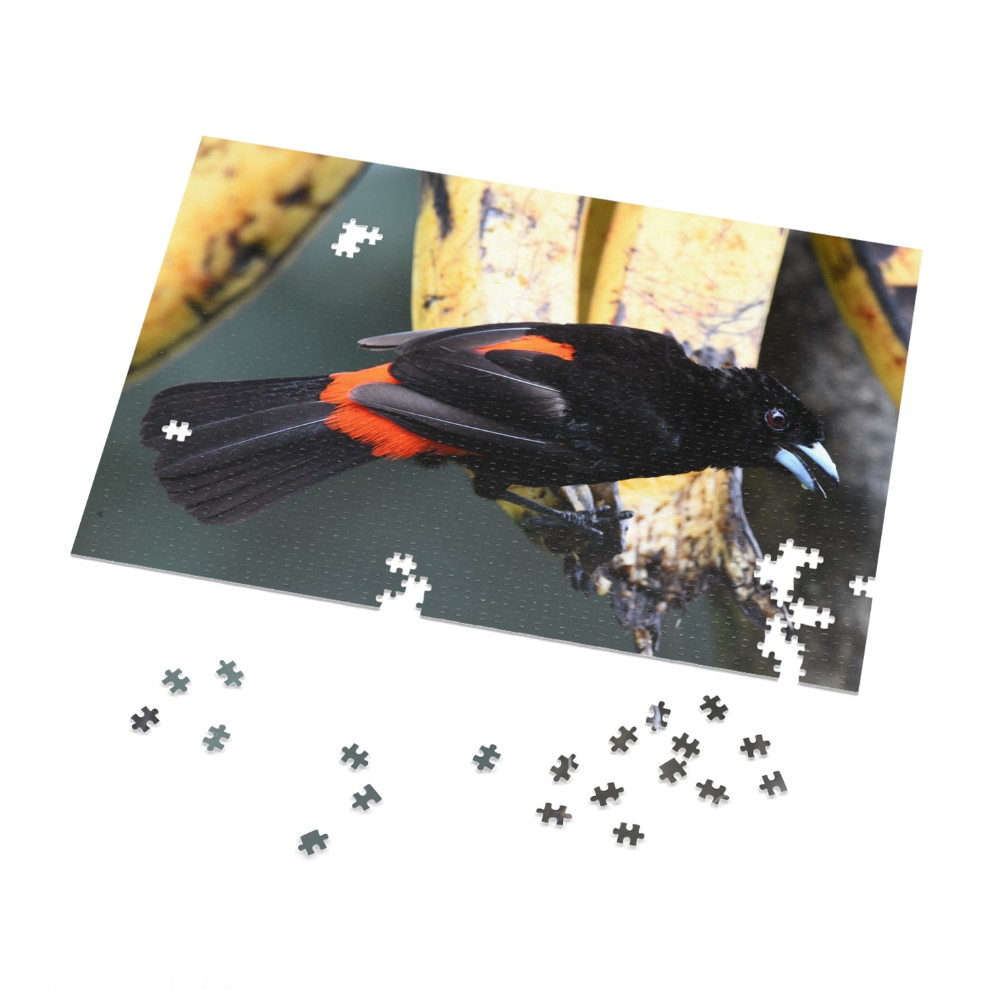 Bird-Themed Jigsaw Puzzle with Tin - Perfect Gift for Nature Lovers, Family Game Night, Eco-Friendly Home Decor, Educational Activity.