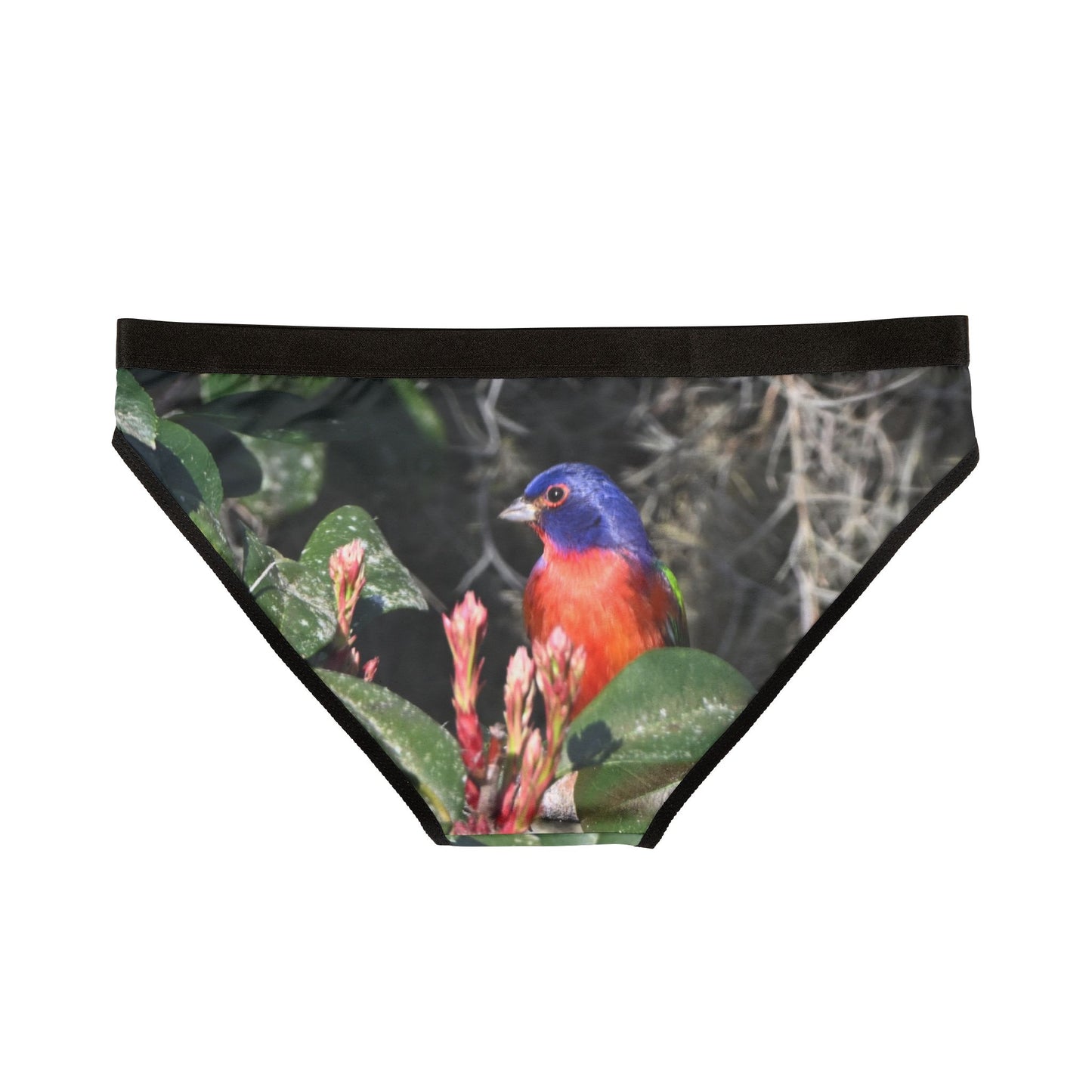 Vibrant Bird Print Women's Underwear, Nature-Inspired Lace Panties, Eco-Friendly Loungewear, Perfect Gift for Wildlife Lovers