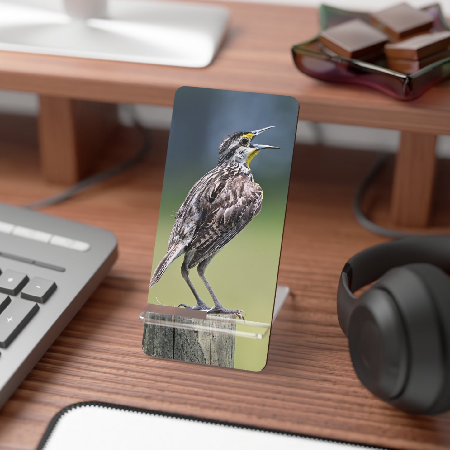 Singing Meadowlark Smartphone Stand — Clear Mobile Display Stand