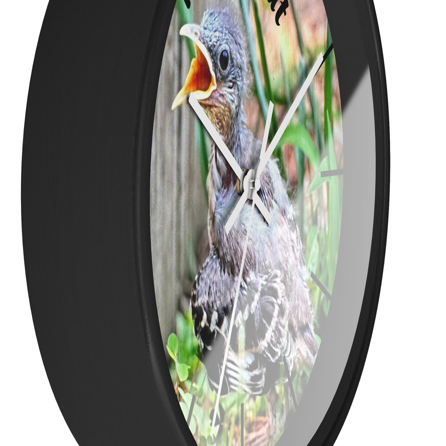 Nature-Inspired Wall Clock, Time to Eat Bird Clock, Home Decor for Bird Lovers, Gift for Nature Enthusiasts, Unique Wall Art