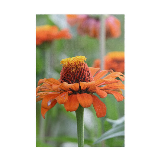 Zinnia Bloom Jigsaw Puzzle — 110/252/520/1014-Piece Floral Puzzle for Relaxation & Gifts