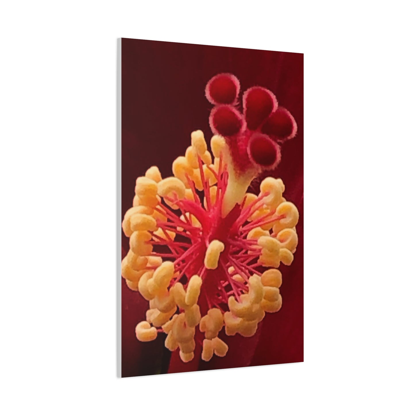 Floral Canvas Art Print, Stretched Wall Decor, Home Decor, Botanical Artwork, Modern Wall Art, Gift for Flower Lovers