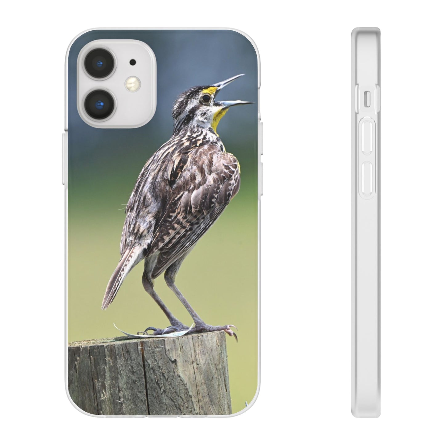 Singing Meadowlark Phone Case – Nature Bird Photo Flexi Case