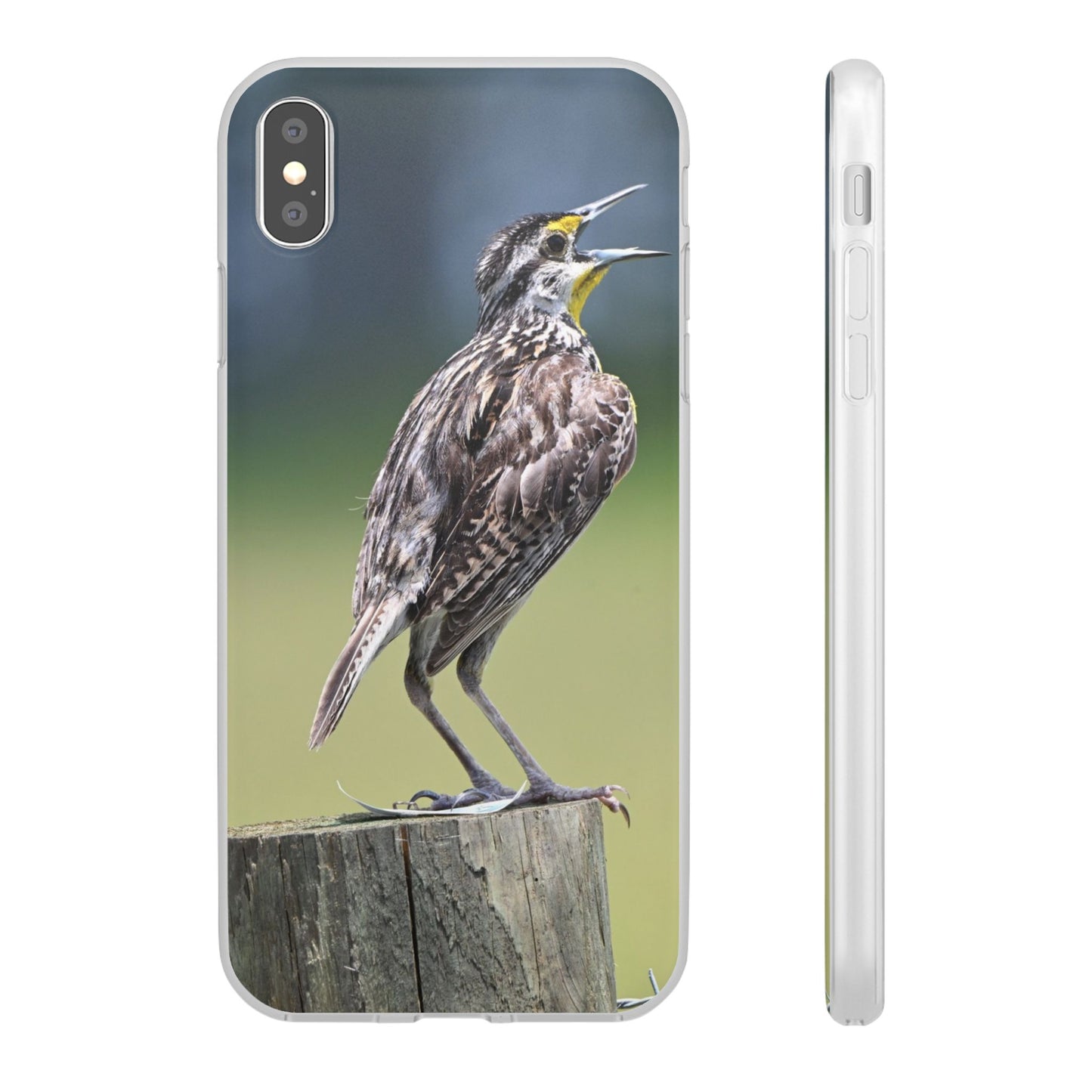 Singing Meadowlark Phone Case – Nature Bird Photo Flexi Case