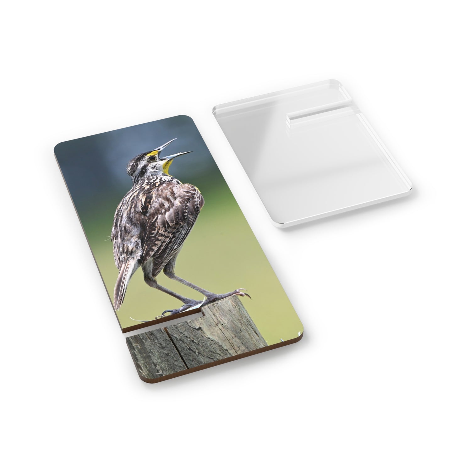 Phone Stand – Meadowlark Smartphone Display Stand (Bird Photography Design)