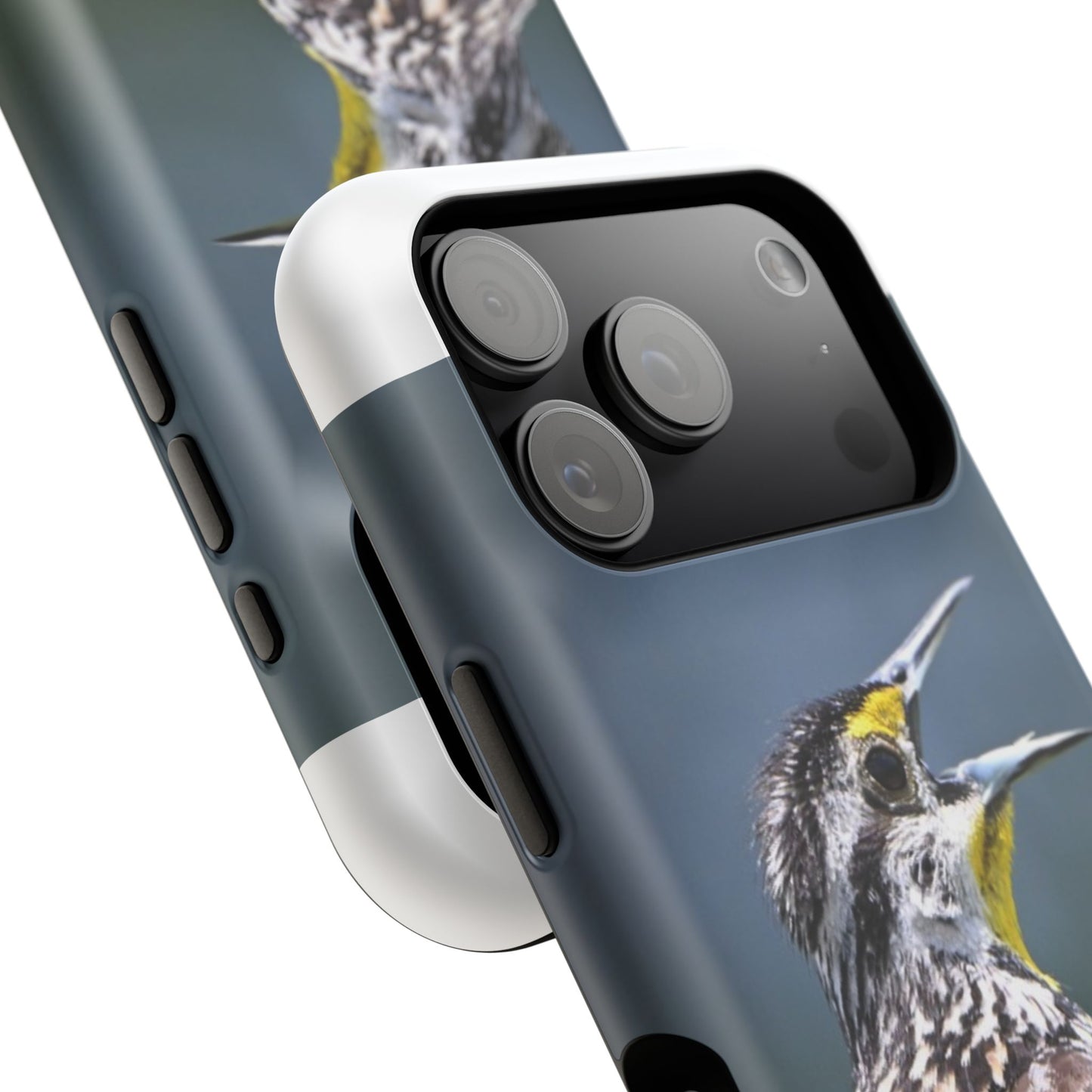 Western Meadowlark Photo Phone Case — Impact-Resistant Protective Cover