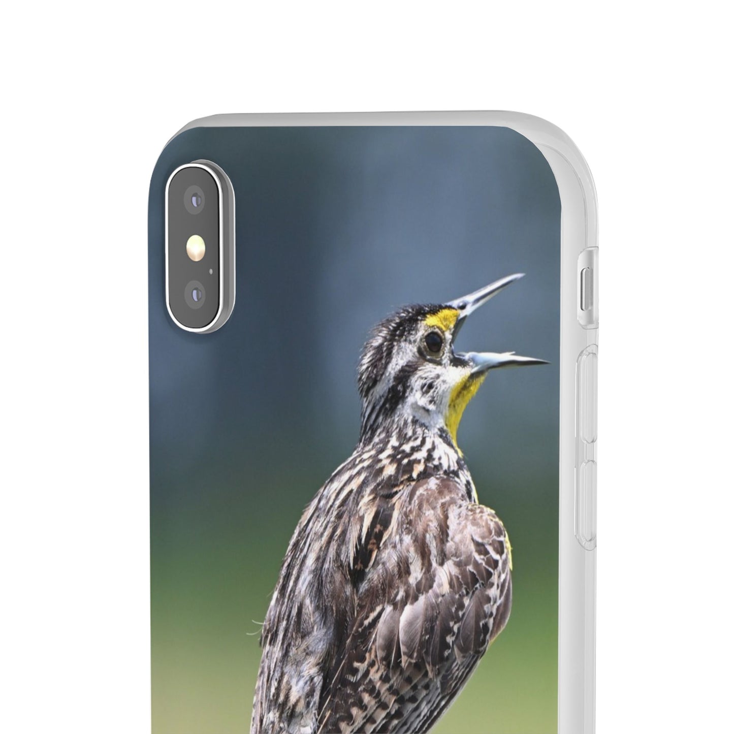 Singing Meadowlark Phone Case – Nature Bird Photo Flexi Case