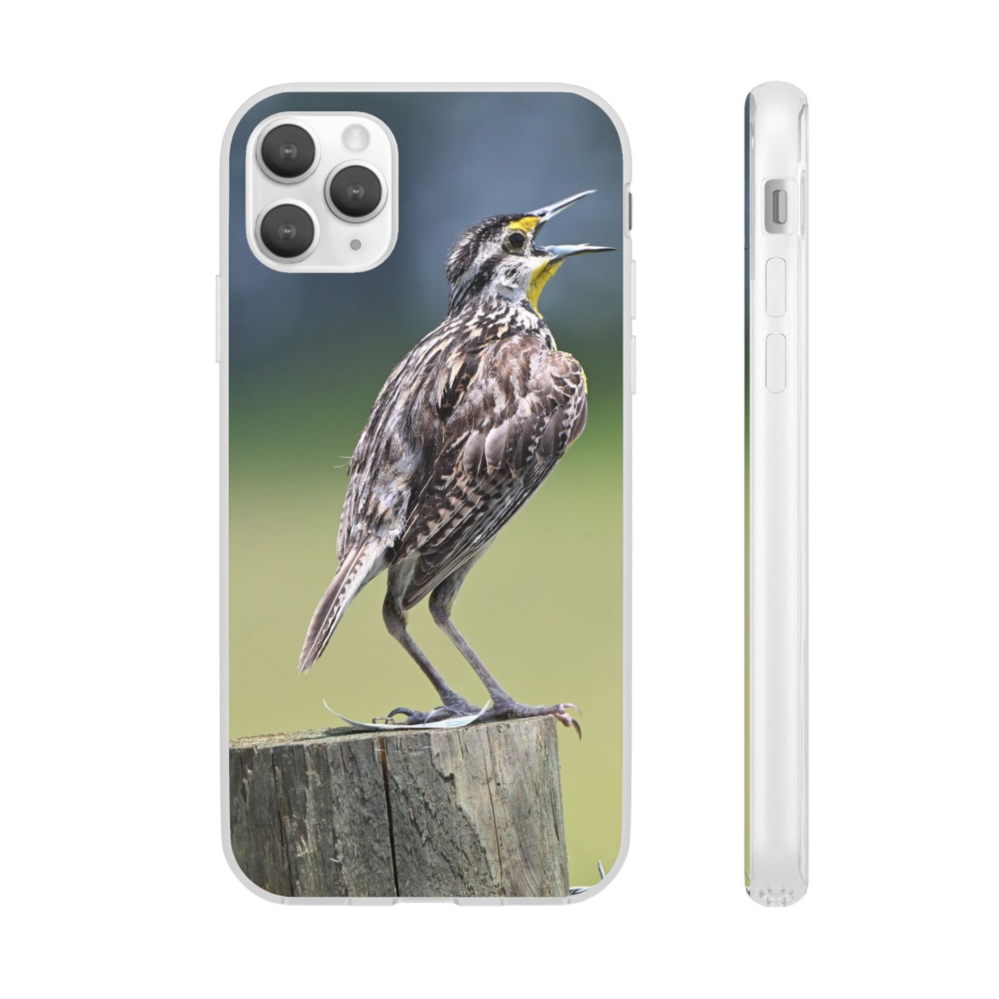 Singing Meadowlark Phone Case – Nature Bird Photo Flexi Case