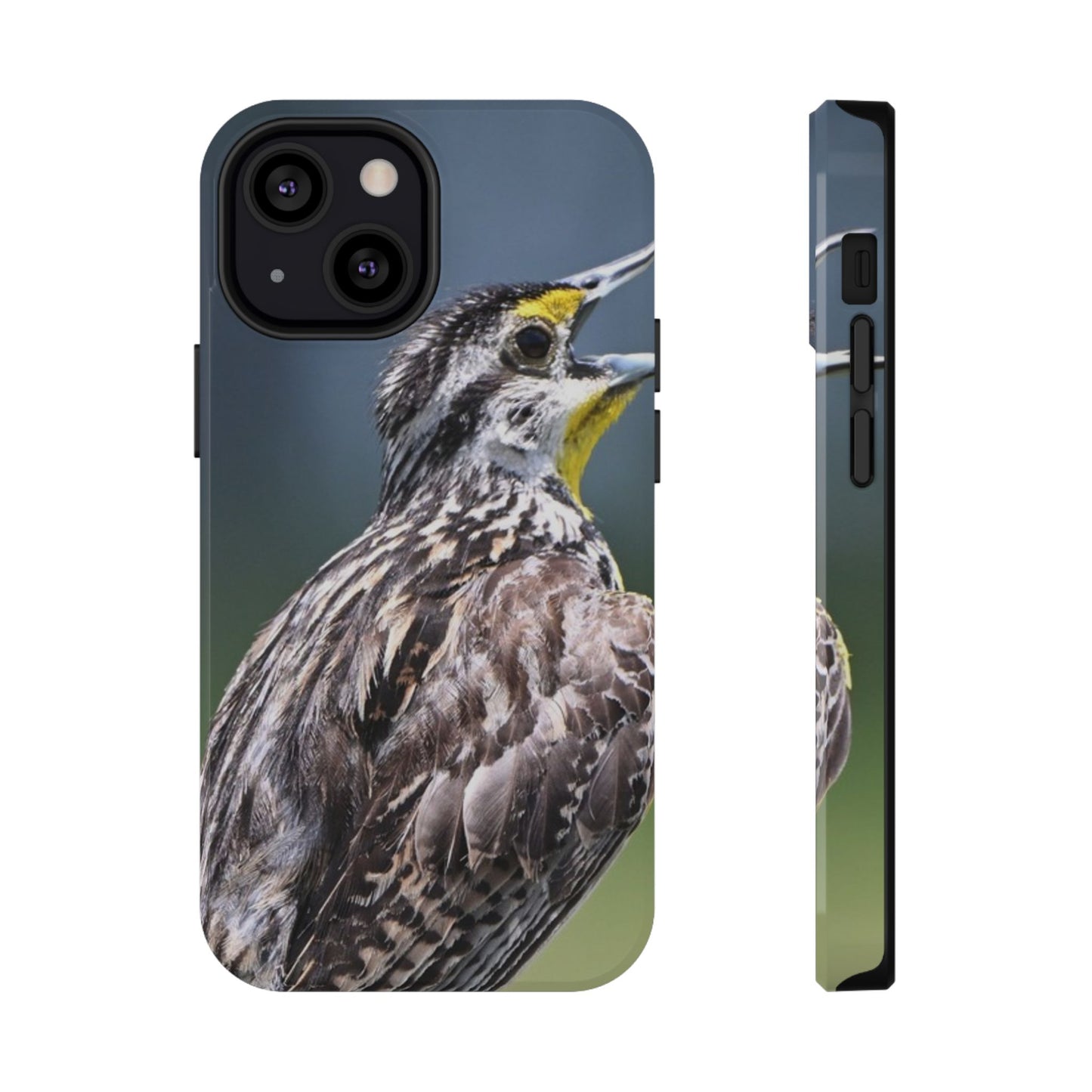 Western Meadowlark Photo Phone Case — Impact-Resistant Protective Cover