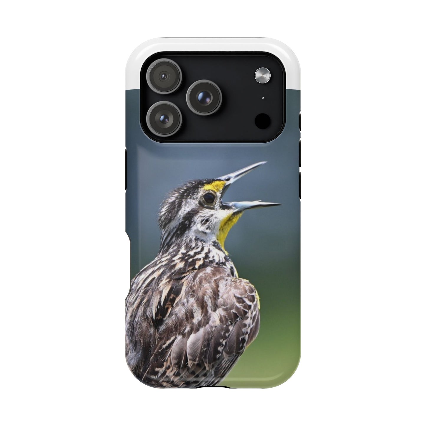Western Meadowlark Photo Phone Case — Impact-Resistant Protective Cover