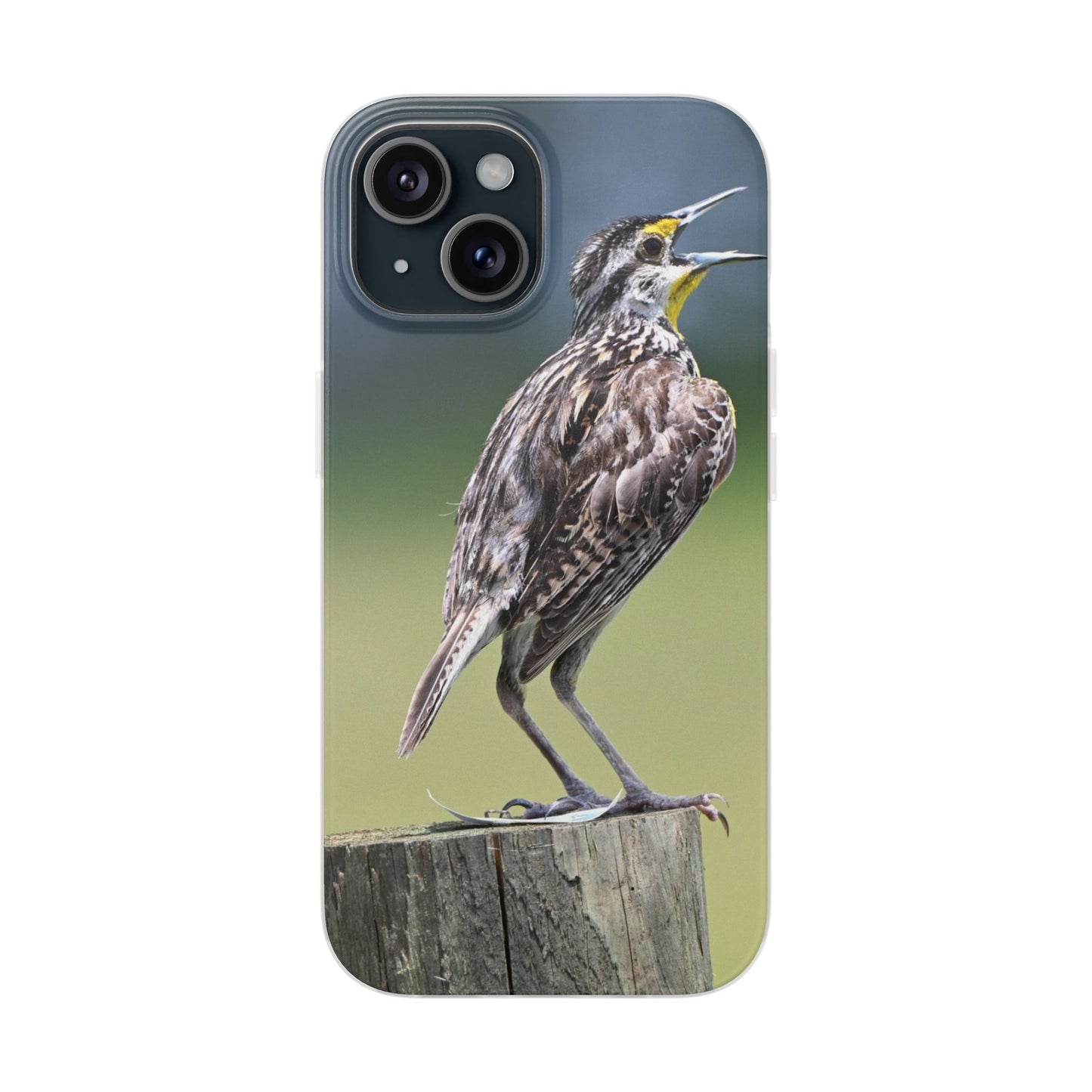 Singing Meadowlark Phone Case – Nature Bird Photo Flexi Case