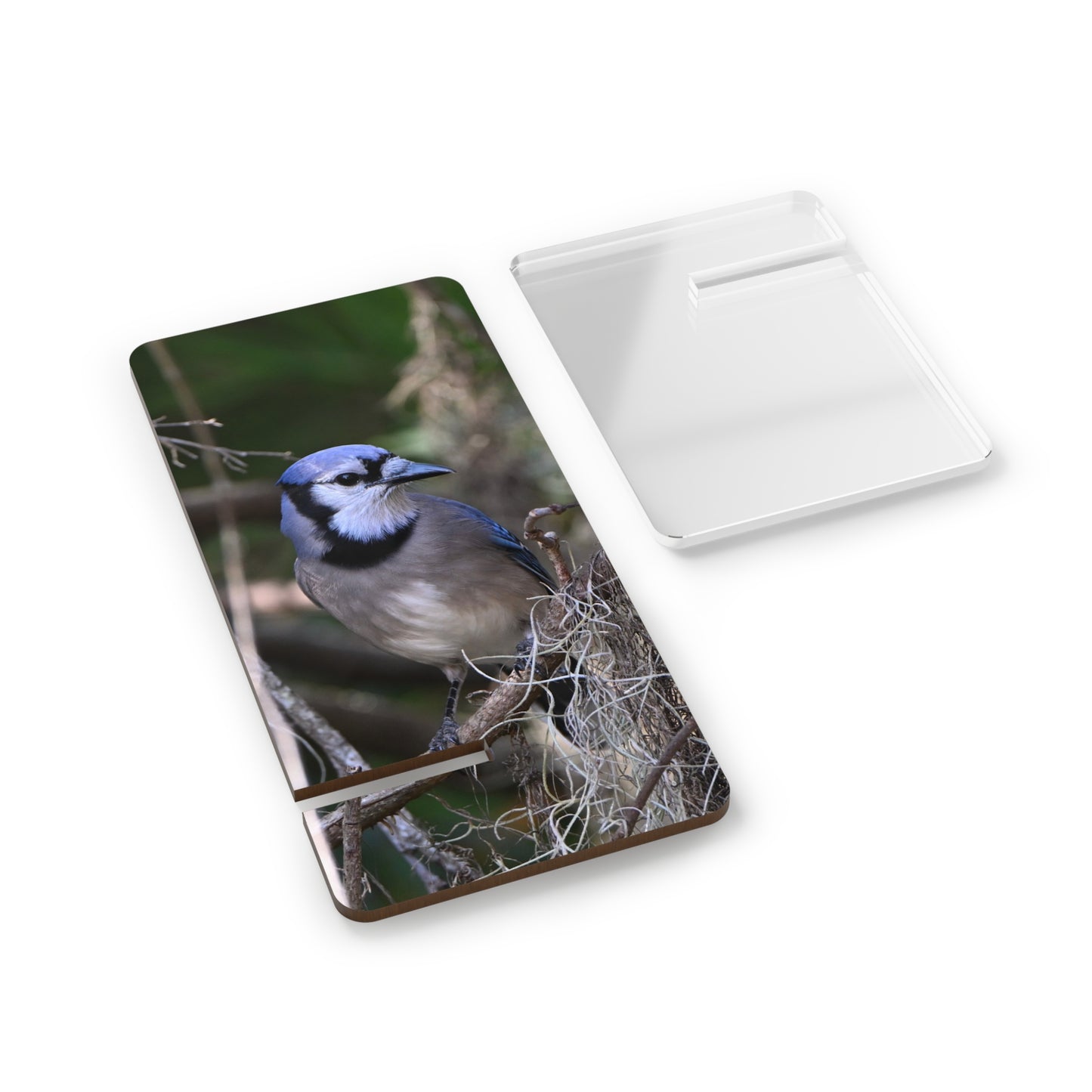 Blue Jay Photo Phone Stand — Clear Acrylic Mobile Display Stand