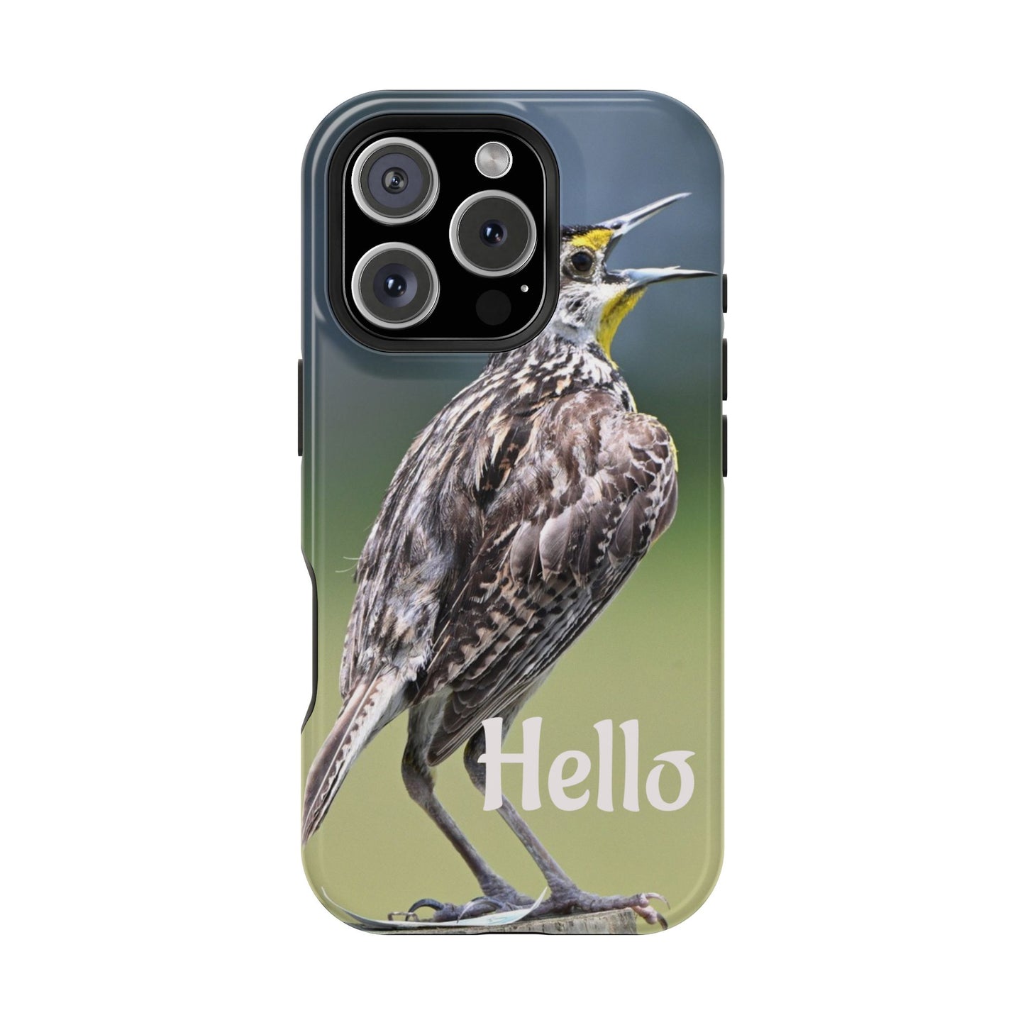 Bird-Themed Magnetic Tough Cases with 'Hello', Stylish Phone Protectors, Gifts for Nature Lovers, Birdwatching Accessories, Wildlife [...]