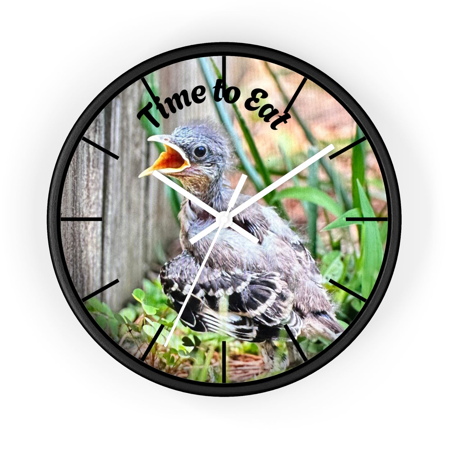 Nature-Inspired Wall Clock, Time to Eat Bird Clock, Home Decor for Bird Lovers, Gift for Nature Enthusiasts, Unique Wall Art
